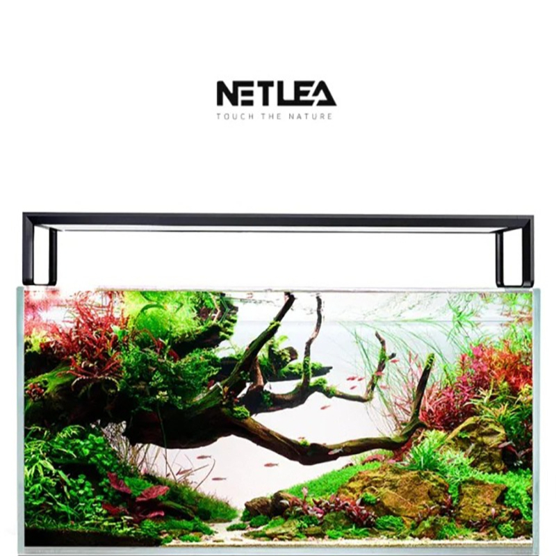 Aquarium Fish Photography - Netlea AT5S V3 الذكية واي فاي