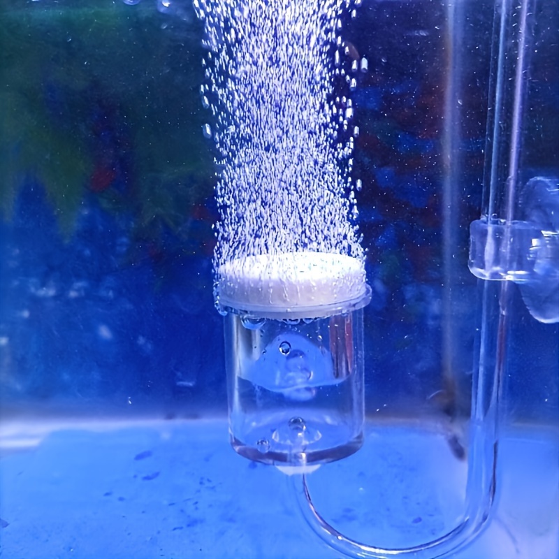 Aquarium Fish Photography - حوض السمك الزجاج CO2 البخاخة الناشر