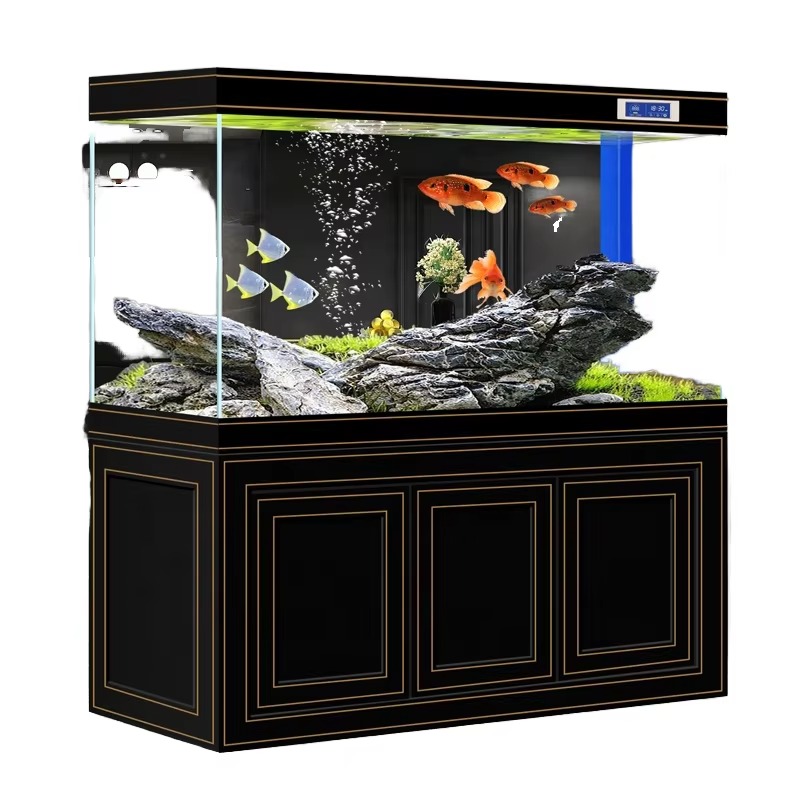 Aquarium Fish Dragon - حوض سمك زجاجي فائق الوضوح للمنزل