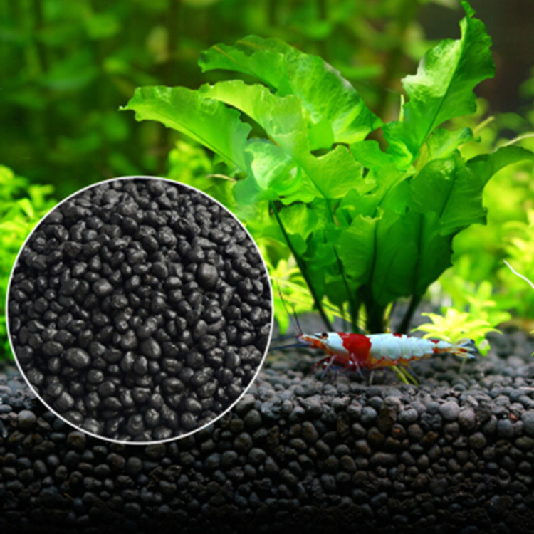 Aquarium Fish Photography - نباتات أحواض السمك ، التربة ،