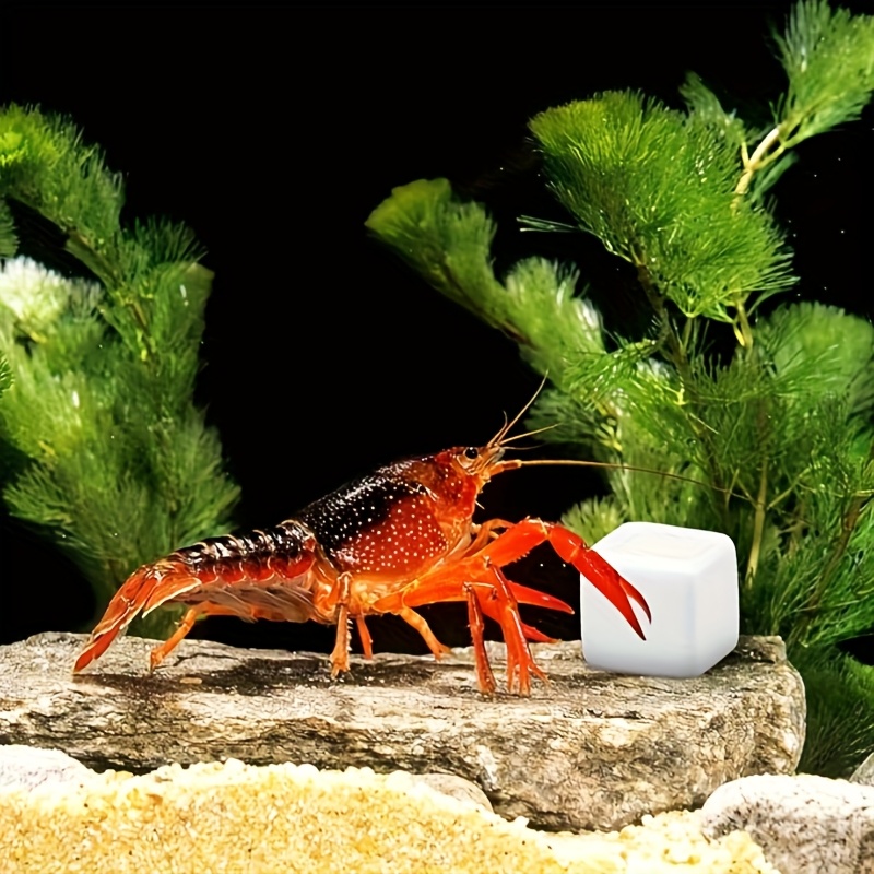Aquarium Fish Lego - 6 قطعة خزان الأسماك كتلة الكالسيوم