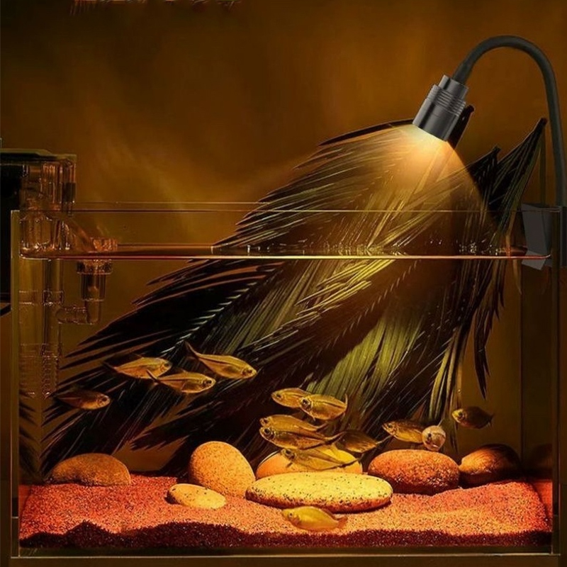 3 واط أمريكا الجنوبية حوض السم - مراجعة Aquarium Fish Light Lamp وسعره