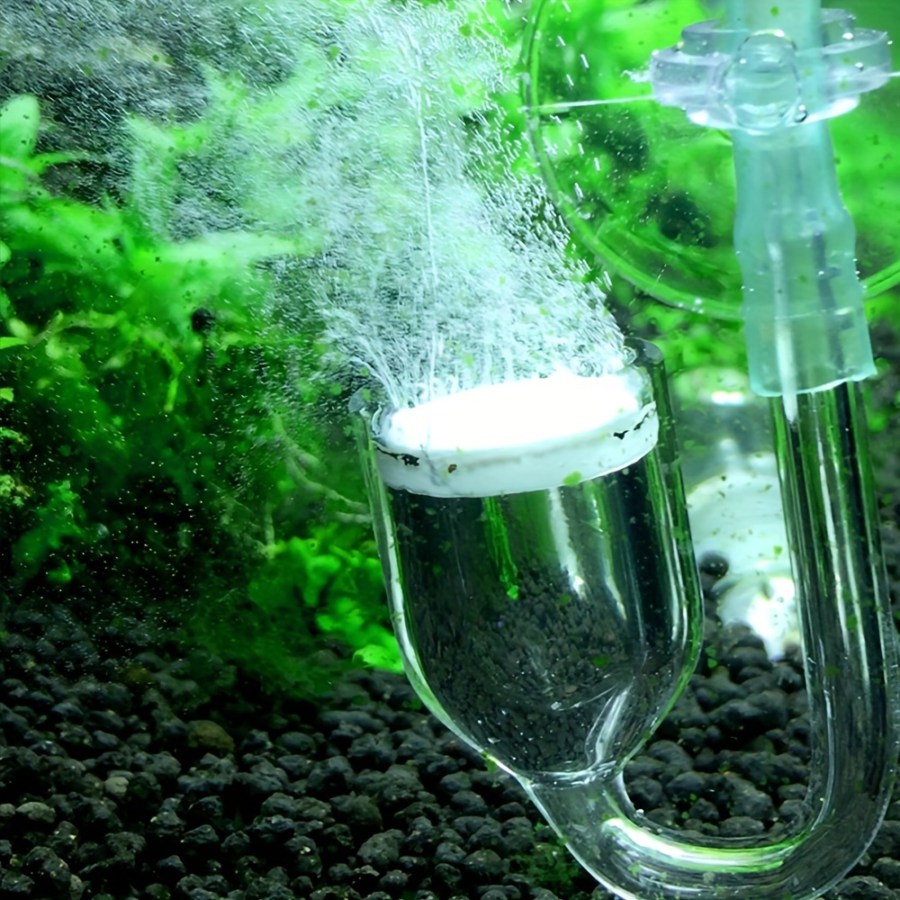 حوض السمك الزجاج CO2 البخاخة ا - مراجعة Aquarium Fish Photography وسعره