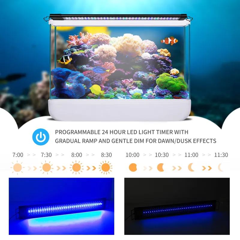 مصباح LED قابل للبرمجة مع مؤقت - مراجعة Aquarium Fish Light Lamp وسعره