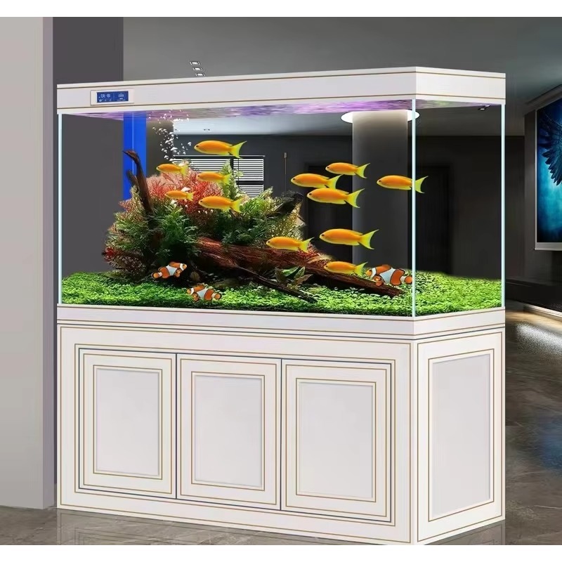 حوض سمك زجاجي فائق الوضوح للمن - مراجعة Aquarium Fish Dragon وسعره