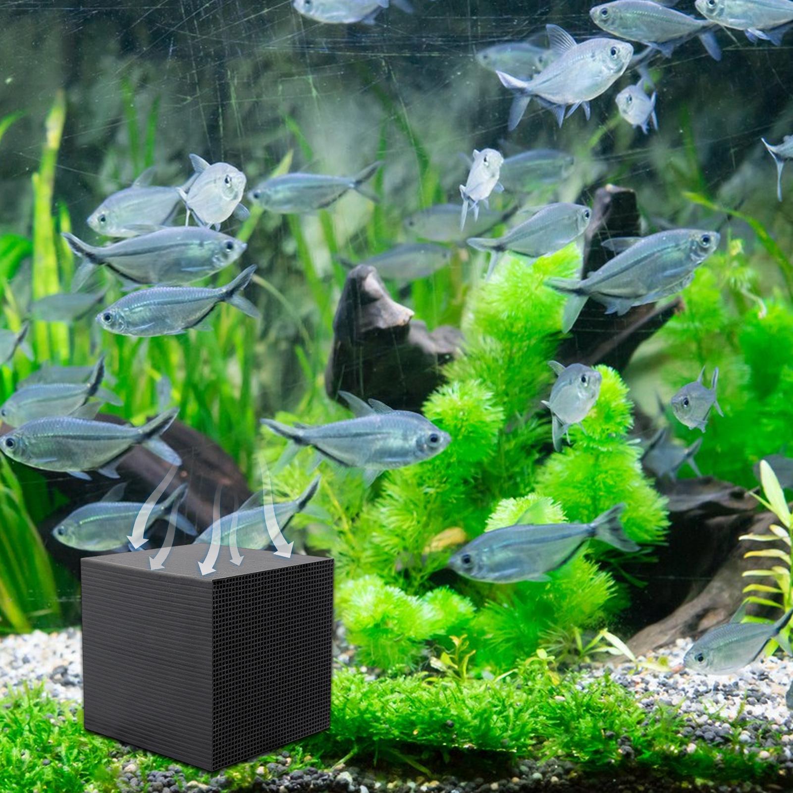 حوض السمك منقي مياه مكعب حوض ا - مراجعة Aquarium Fish Lego وسعره