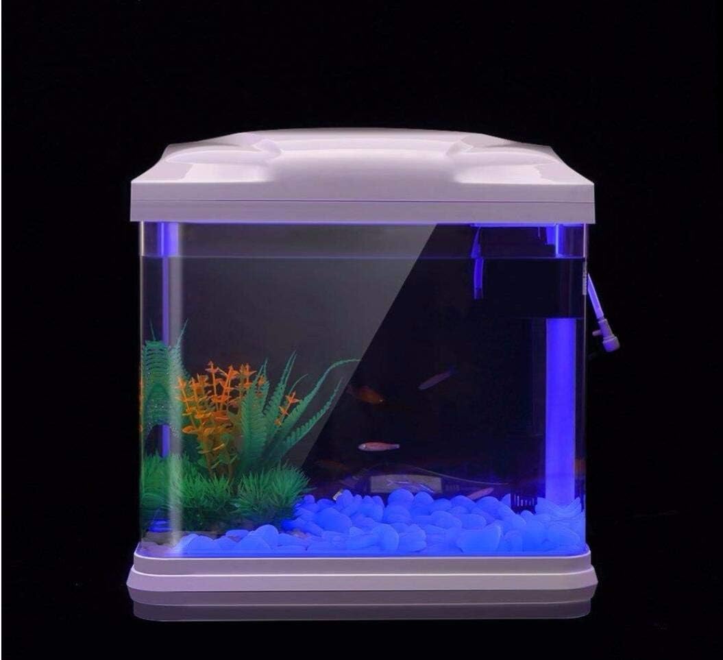 حوض السمك الصخور توهج الحصى ال - مراجعة Aquarium Fish Photography وسعره