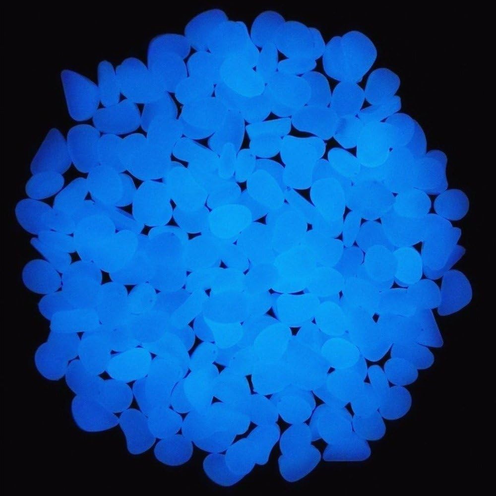 حوض السمك الصخور توهج الحصى ال - مراجعة Aquarium Fish Photography وسعره