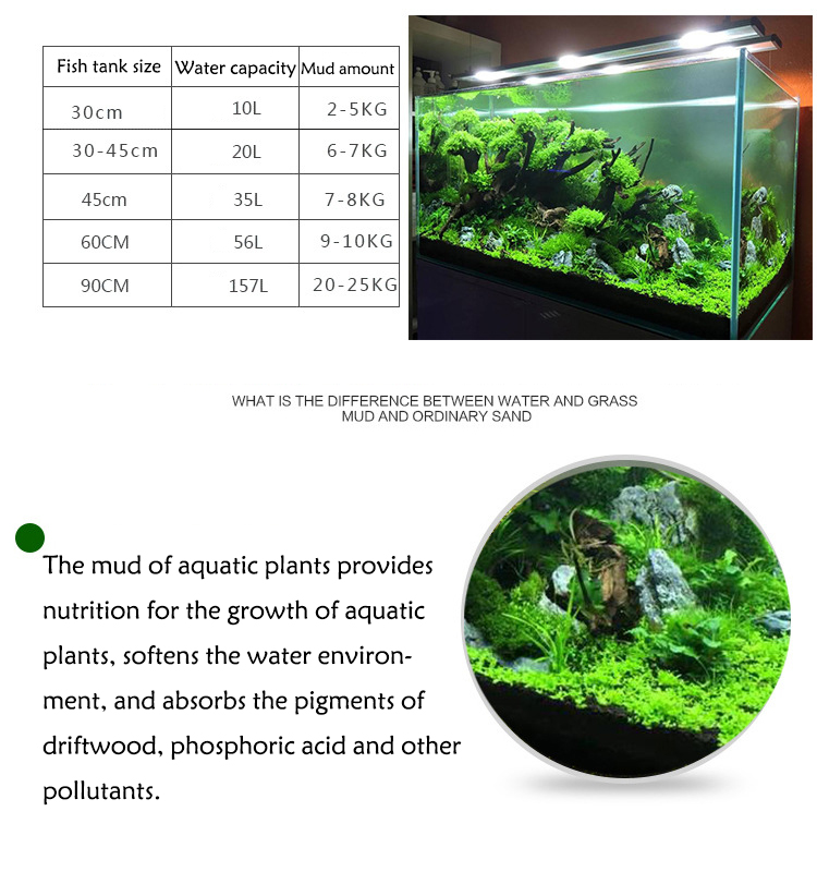 نباتات أحواض السمك ، التربة ،  - مراجعة Aquarium Fish Photography وسعره