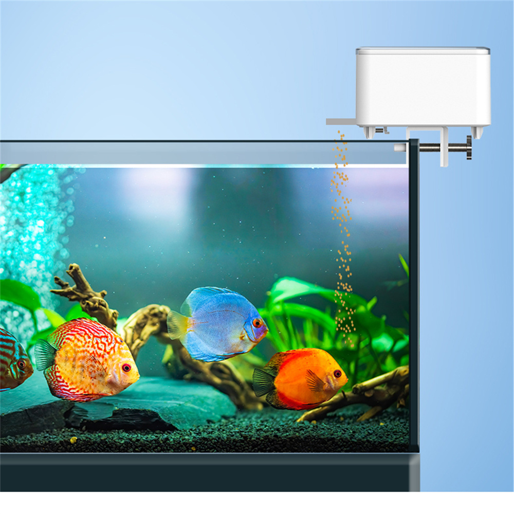 واي فاي الذكية التلقائي المغذي - مراجعة Aquarium Fish App وسعره