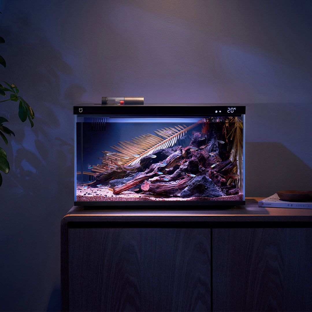 Xiaomi Mijia Smart Fish Tank M - مراجعة Aquarium Fish App وسعره