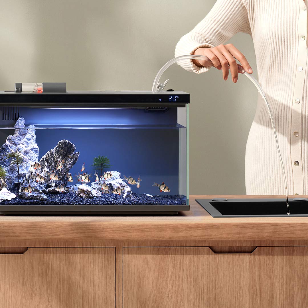 Xiaomi Mijia Smart Fish Tank M - مراجعة Aquarium Fish App وسعره
