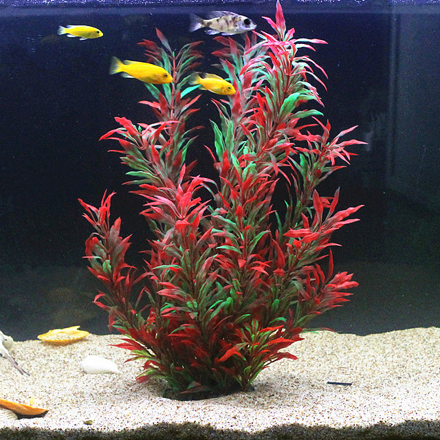 نباتات اصطناعية نادرة لأحواض ا - مراجعة Aquarium Fish Photography وسعره