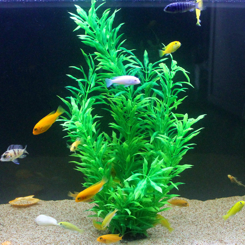 نباتات اصطناعية نادرة لأحواض ا - مراجعة Aquarium Fish Photography وسعره