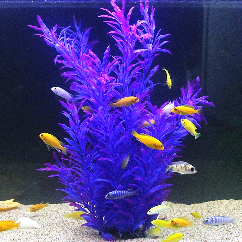نباتات اصطناعية نادرة لأحواض ا - مراجعة Aquarium Fish Photography وسعره