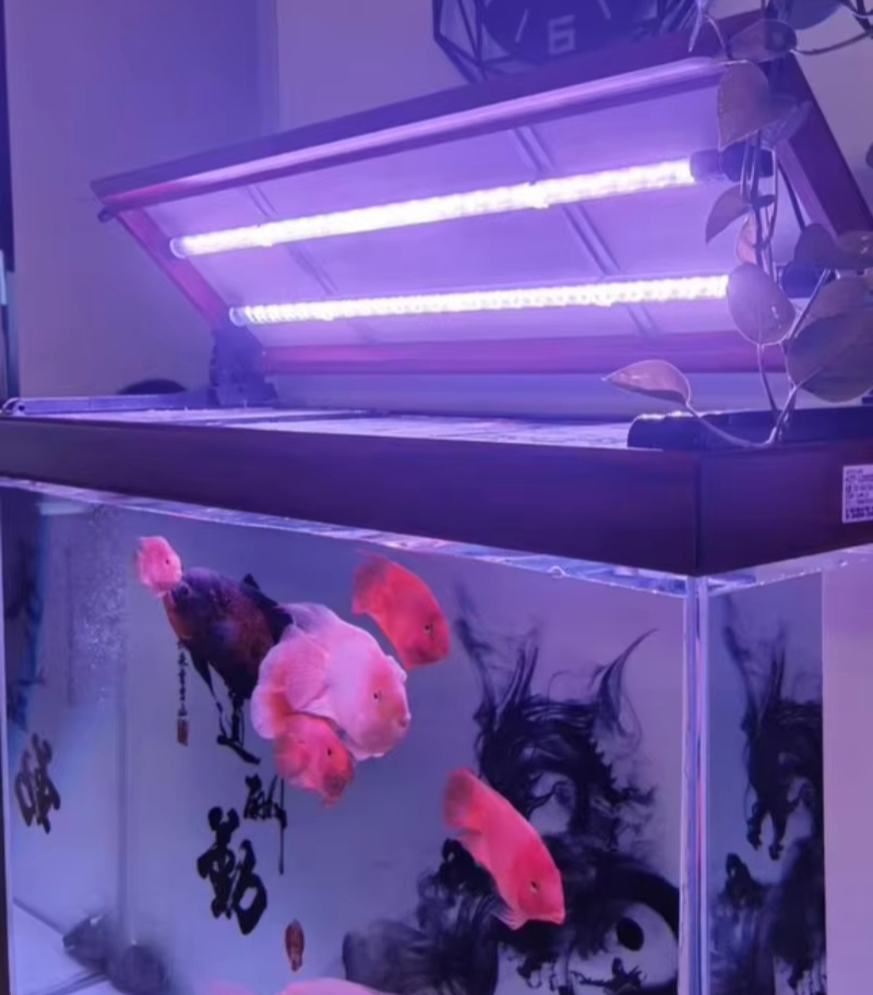 حوض السمك مصباح ليد بار متعدد  - مراجعة Aquarium Fish Light Lamp وسعره