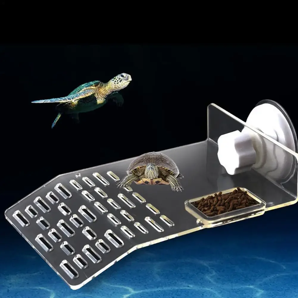 منصة استلقاء وصعود للسلاحف على - مراجعة Aquarium Fishland وسعره
