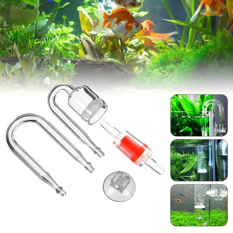 ناشر CO2 لحوض السمك ، خزان زجا - مراجعة Aquarium Fish Photography وسعره