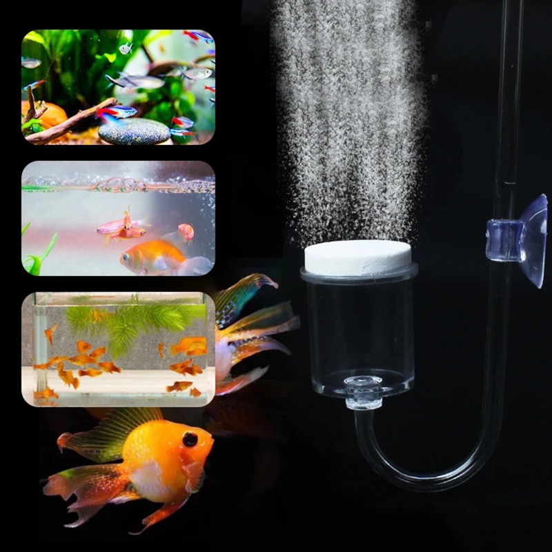 ناشر CO2 لحوض السمك ، خزان زجا - مراجعة Aquarium Fish Photography وسعره