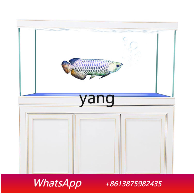 حوض سمك التنين الزجاجي فائق ال - مراجعة Aquarium Fish Dragon وسعره