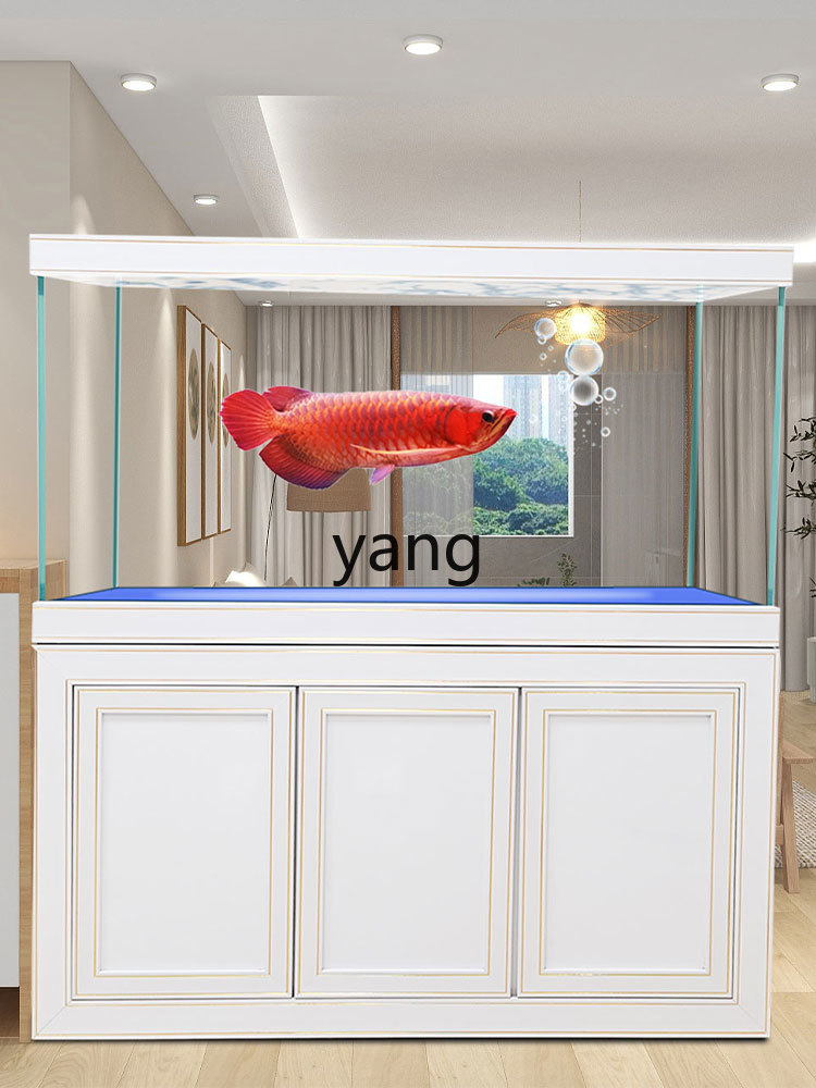 حوض سمك التنين الزجاجي فائق ال - مراجعة Aquarium Fish Dragon وسعره